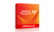 OracleInternetDeveloperSuiteL69110.png